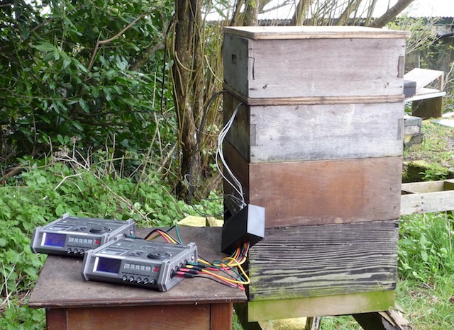 installing microphone array in live beehive
