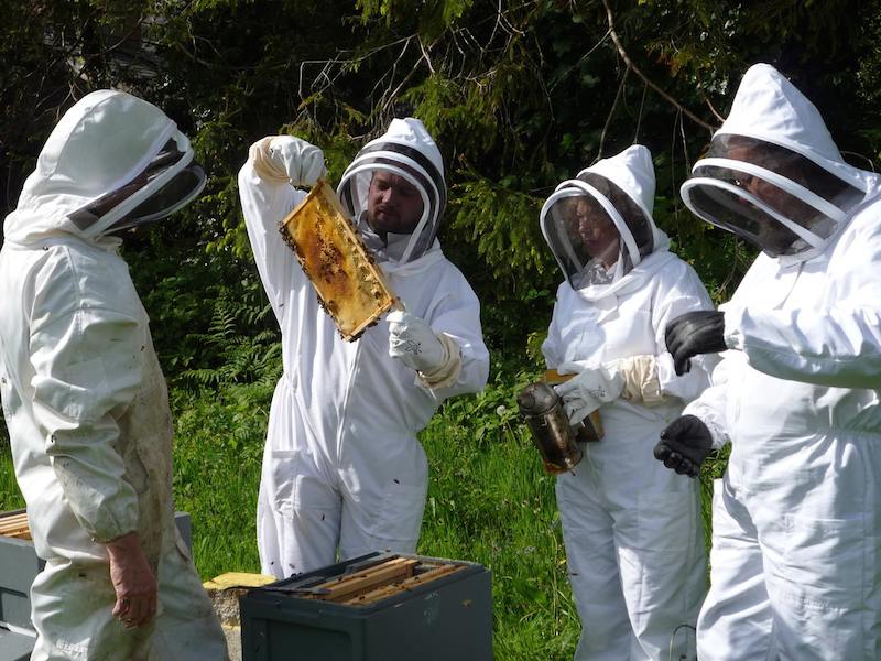 Urban Beekeepers at Glenstal Apiary